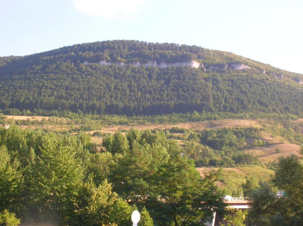 Les Berges Du Tarn Aparthotel Millau Exterior foto